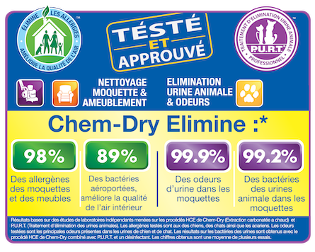 Chem-Dry Carpet Cleaning Creates A Healthier Home Chem-Dry Carpet Cleaning Creates A Healthier Home
